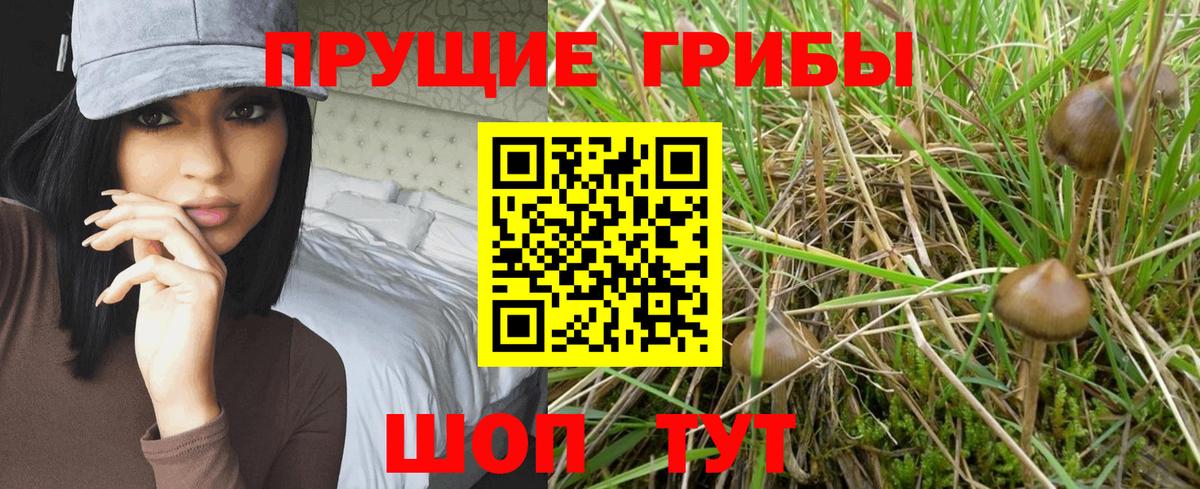 Галлюциногенные грибы MAGIC MUSHROOMS  Вход с VPN  Галлюциногенные грибы ЛСД  Гусиноозёрск 