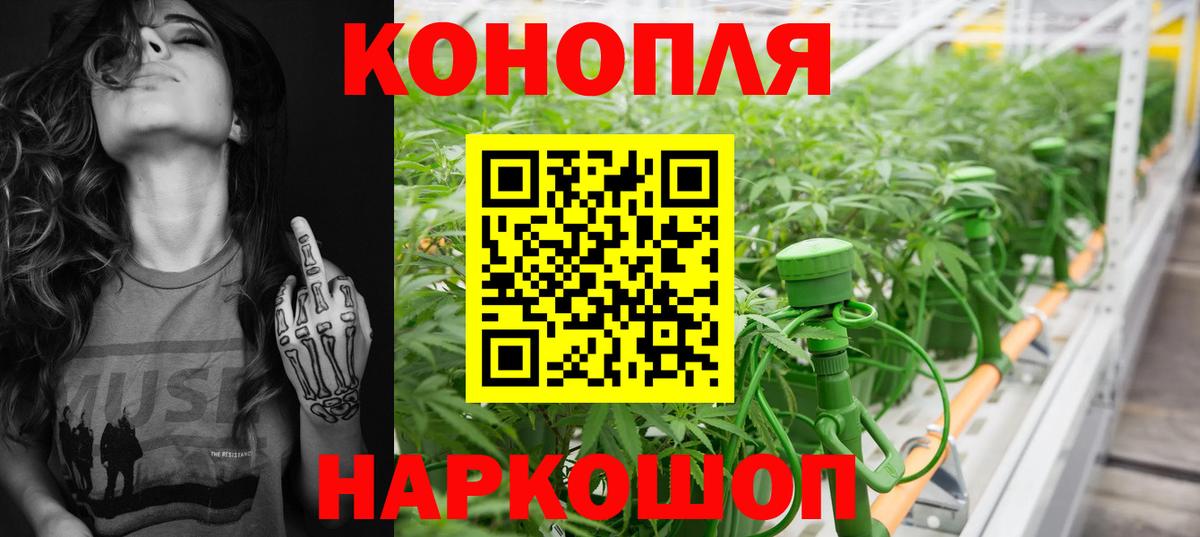 Бошки Шишки гибрид Гусиноозёрск